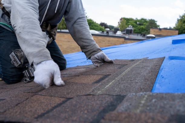 Best Roof Waterproofing Services  in North Fort Lewis, WA